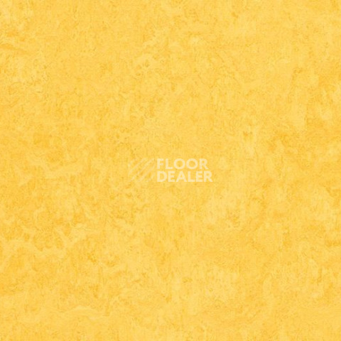 Кварцвиниловые полы Forbo Marmoleum Modular t3251 lemon zest фото 1 | FLOORDEALER